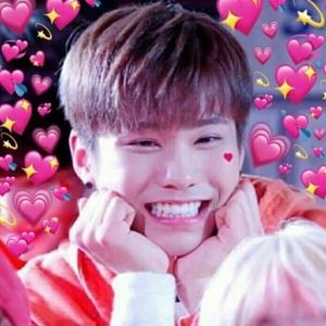 Meet your Posher, Laurel